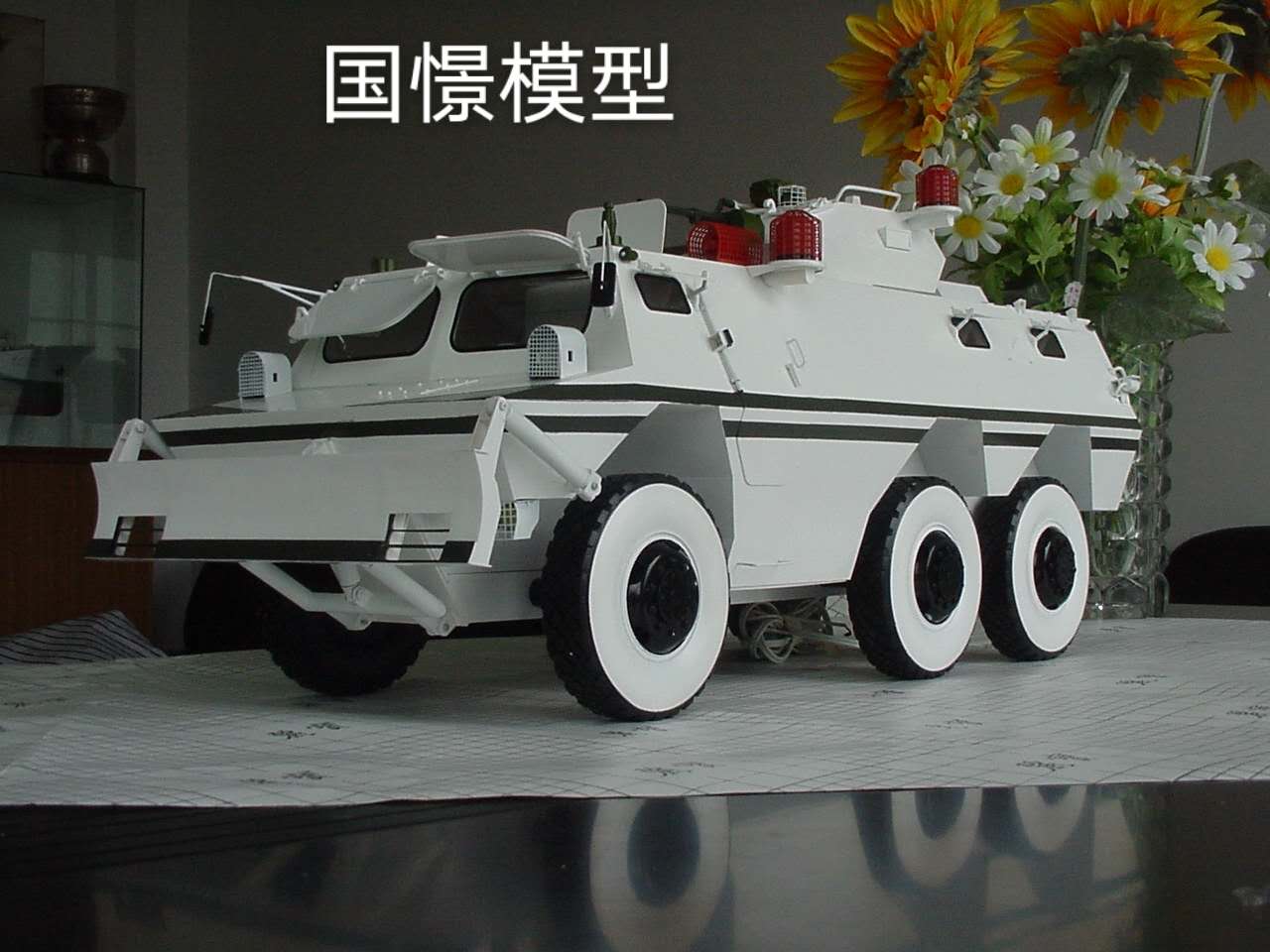 红原县军事模型