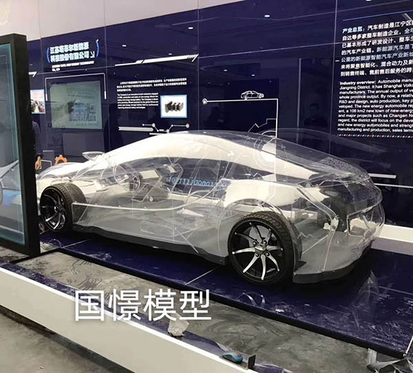 红原县透明车模型